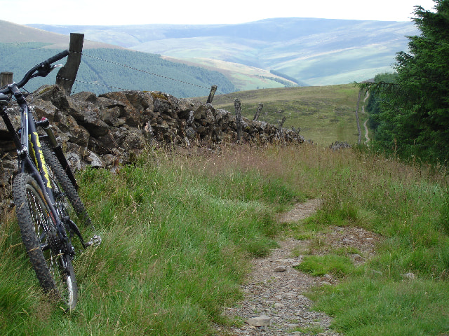 Mountain Biking in Peebles