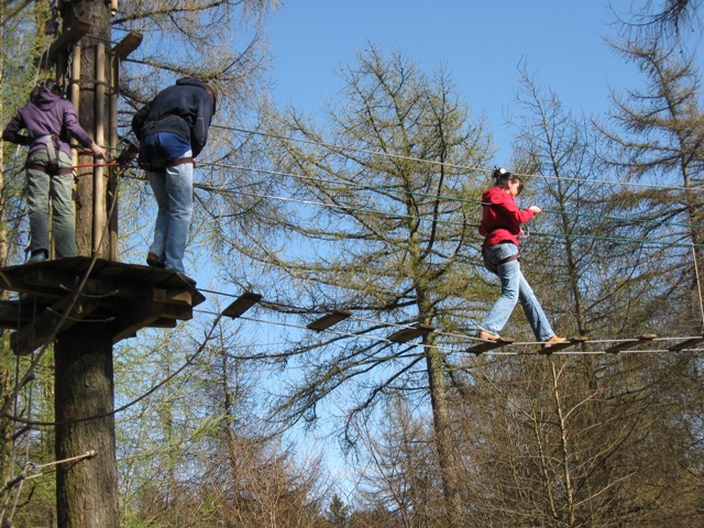 Go Ape Peebles